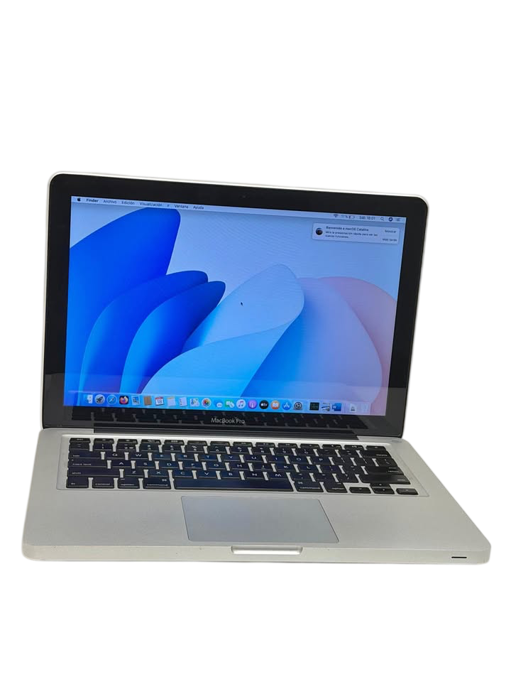 Apple MacBook Pro (2010) | Core 2 Duo | 4 GB RAM | 320 GB HDD | macOS Catalina