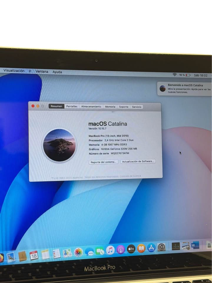 Apple MacBook Pro (2010) | Core 2 Duo | 4 GB RAM | 320 GB HDD | macOS Catalina